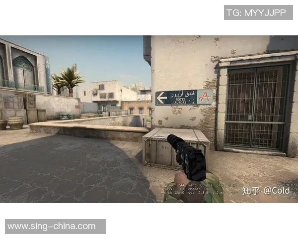 CSGO战术解析：深入探讨LNG在阵地战中的策略与执行