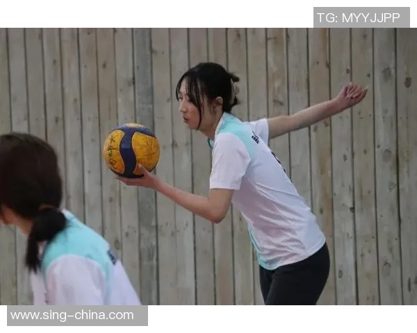 武汉排球队的节奏与魅力探讨：排球运动的热情与团队精神