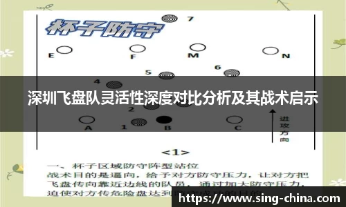 深圳飞盘队灵活性深度对比分析及其战术启示