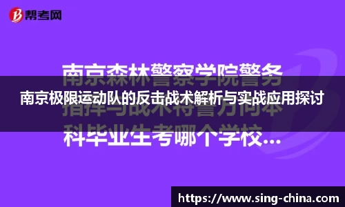 南京极限运动队的反击战术解析与实战应用探讨